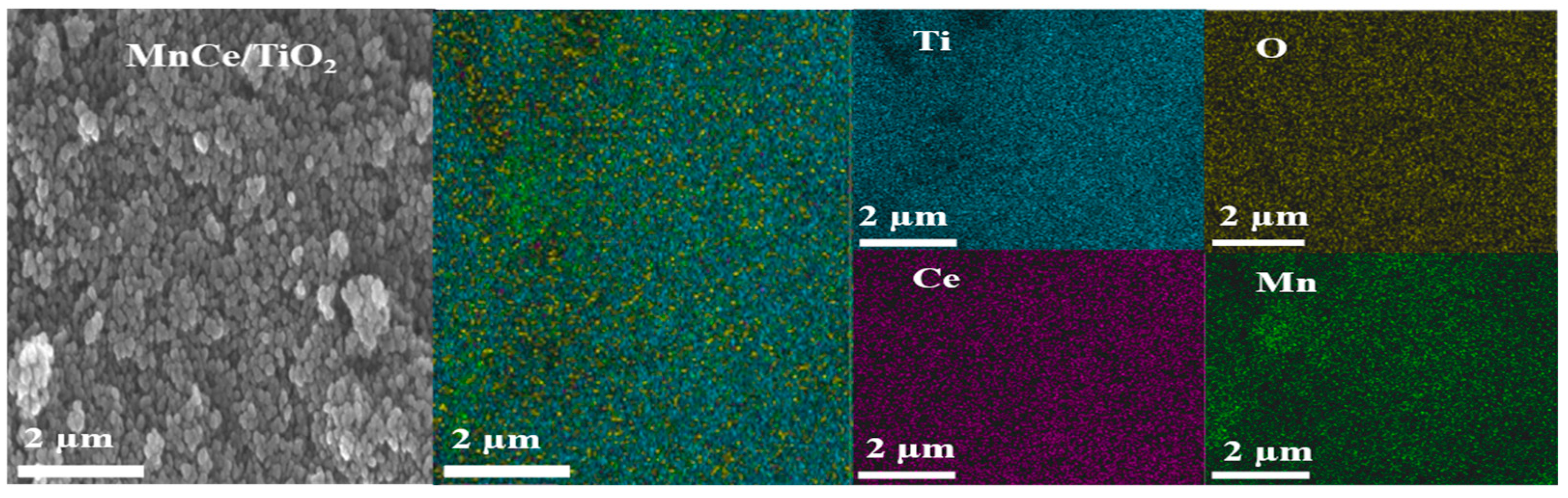 Catalysts 14 00306 g003b