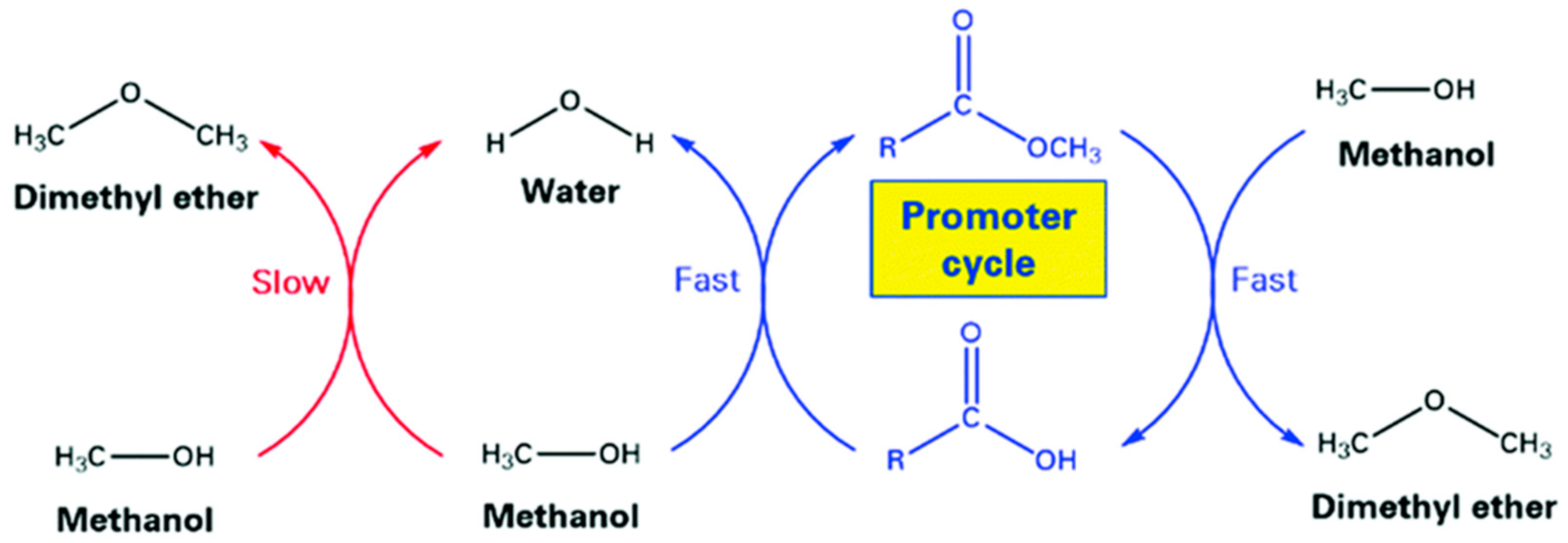 Catalysts 14 00308 g004