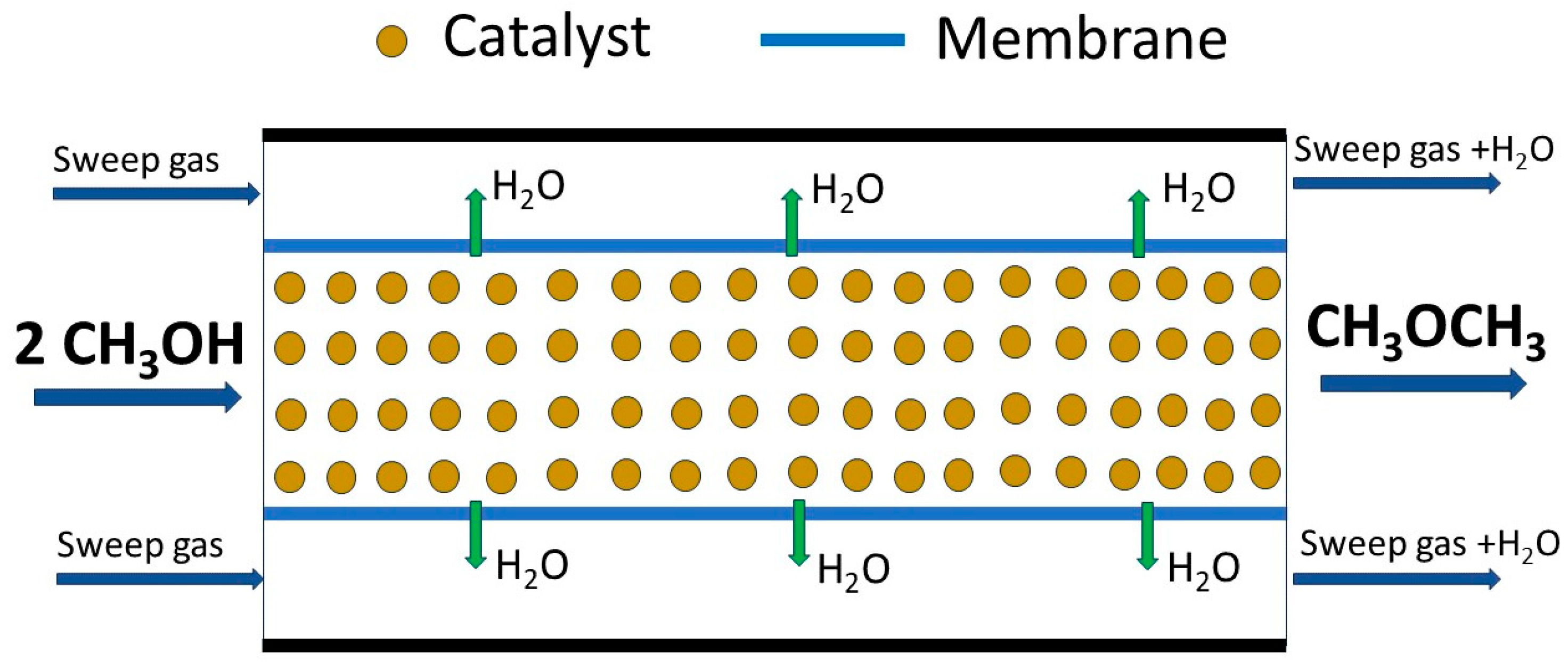 Catalysts 14 00308 g007