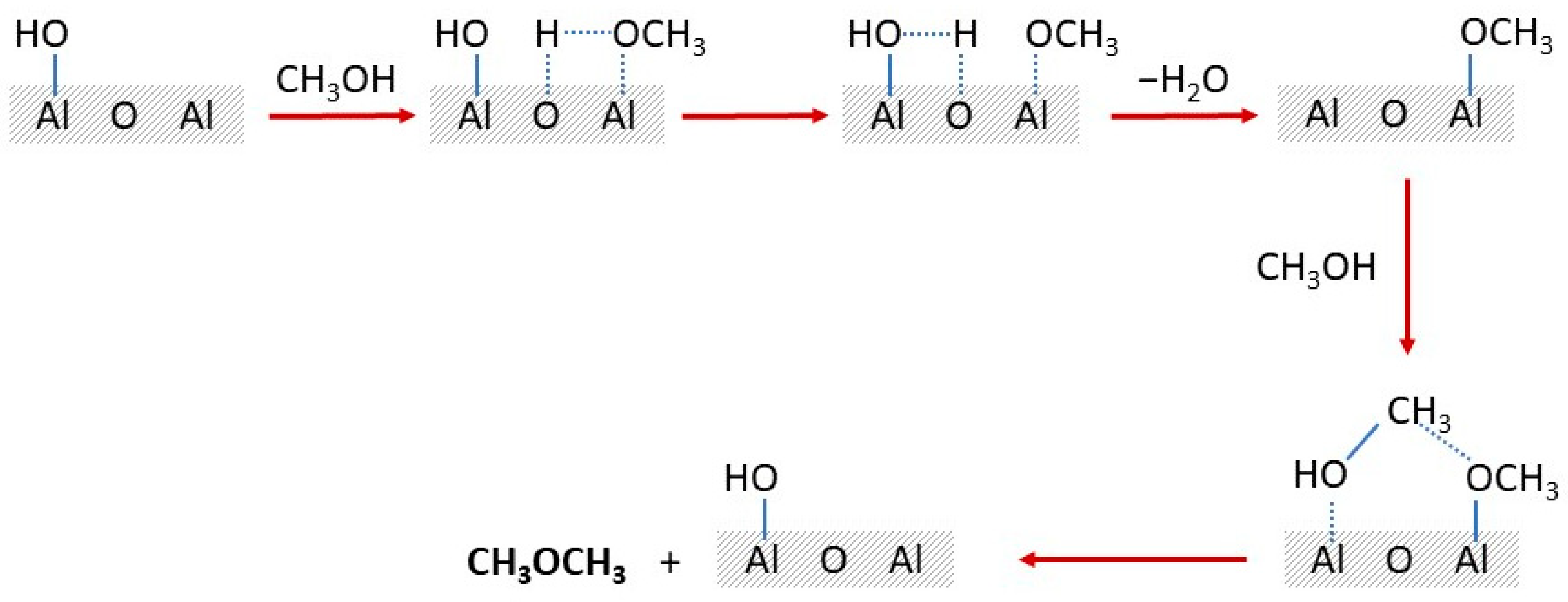 Catalysts 14 00308 sch002