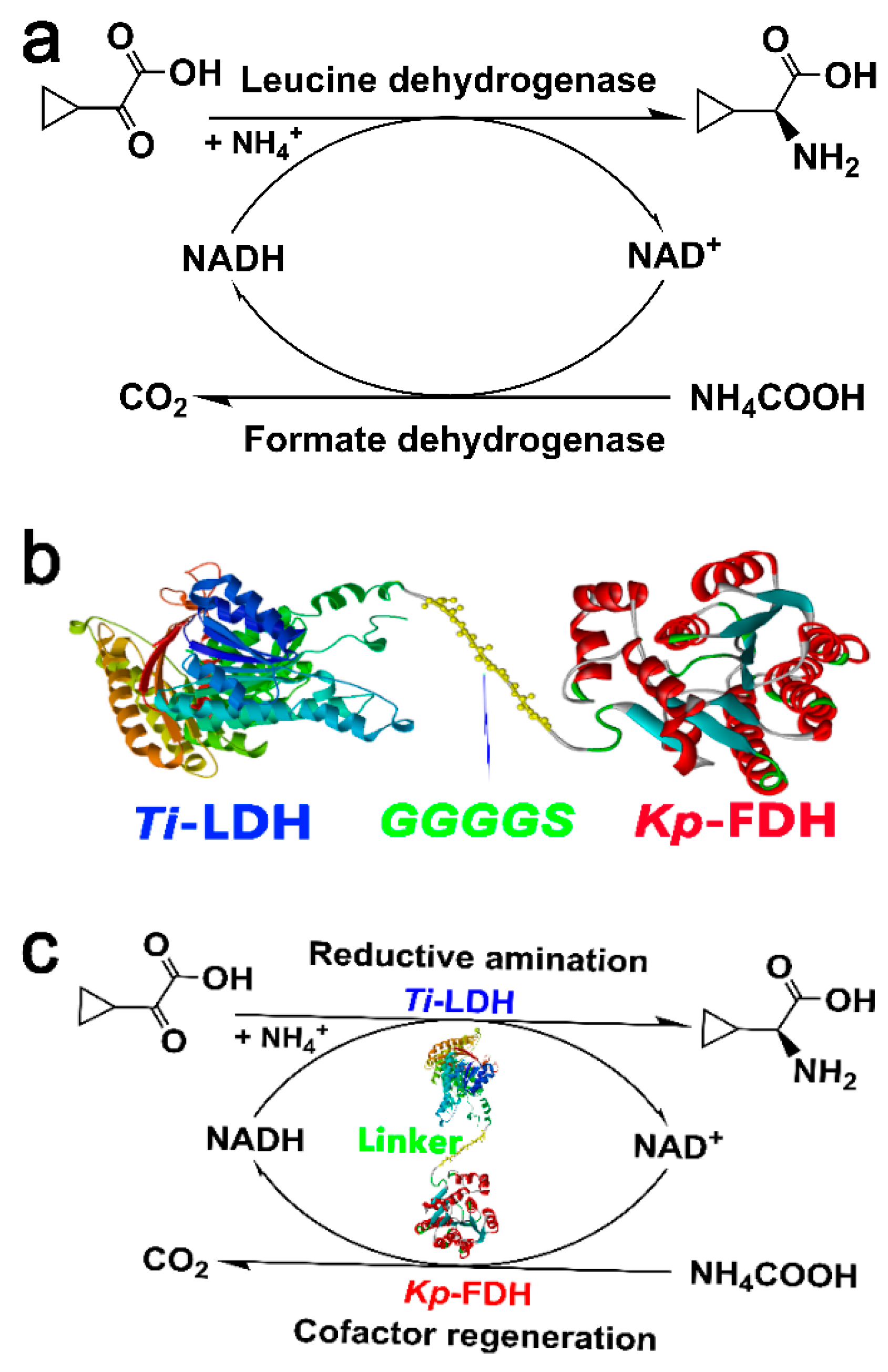 Catalysts 14 00321 g002