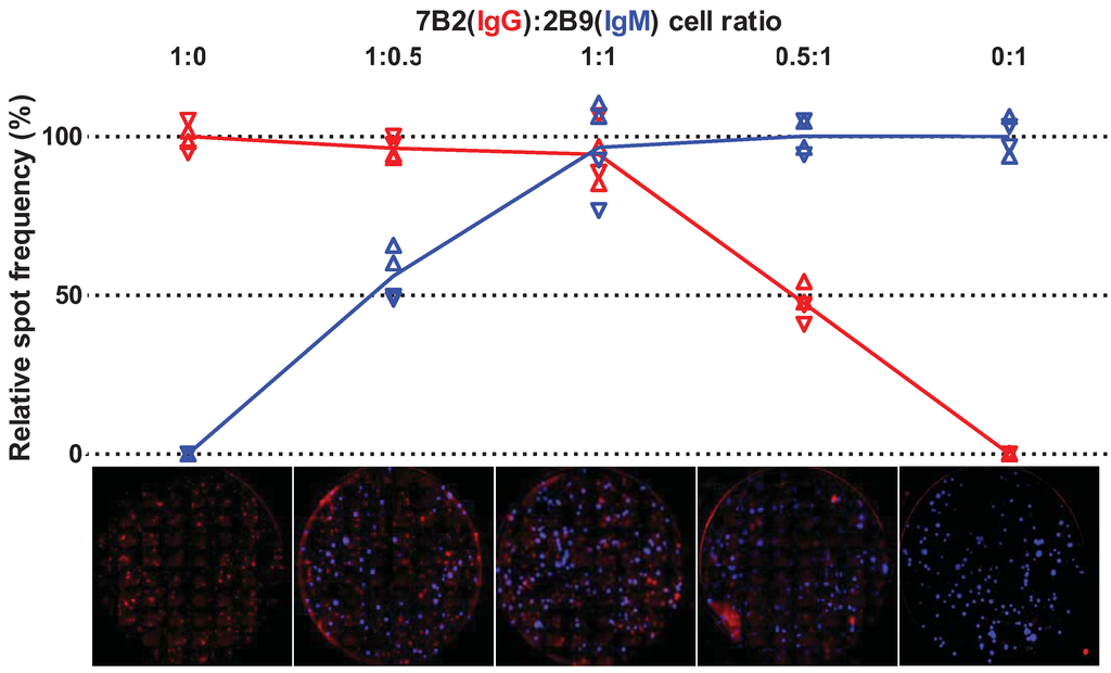 Cells 01 00015 g002 1024