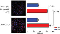 Cells 01 00015 g003 200