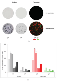 Cells 01 00027 g001 200