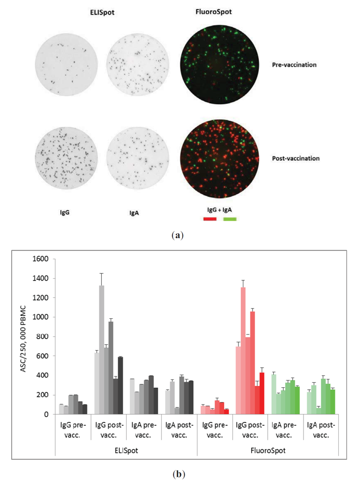 Cells 01 00027 g002 1024
