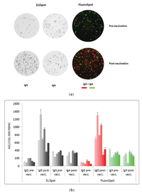 Cells 01 00027 g002 200