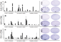 Cells 01 00035 g001 200