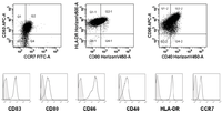 Cells 01 00051 g001 200