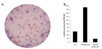 Cells 01 00127 g002 200
