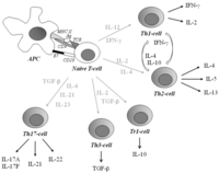 Cells 01 00141 g001 200