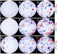 Cells 01 00576 g002 200