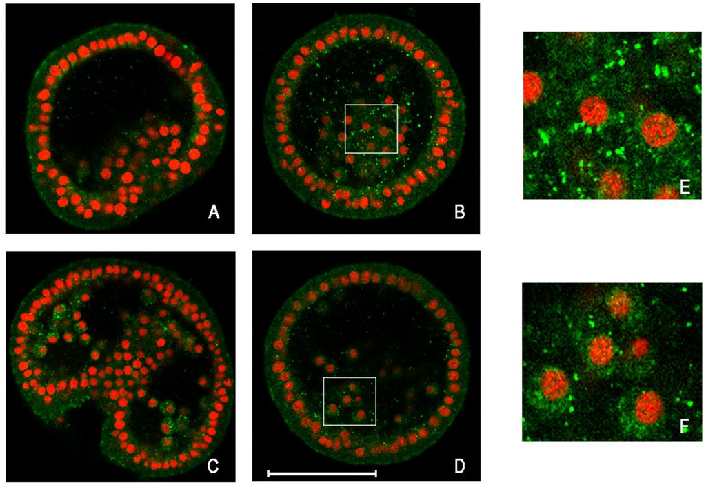 Cells 01 00597 g001 1024