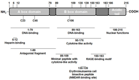 Cells 01 00699 g001 200