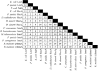 Cells 01 00799 g002 200