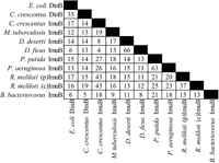 Cells 01 00799 g003 200