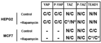 Cells 01 00886 g007 200