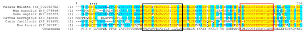 Cells 01 01029 g001 1024