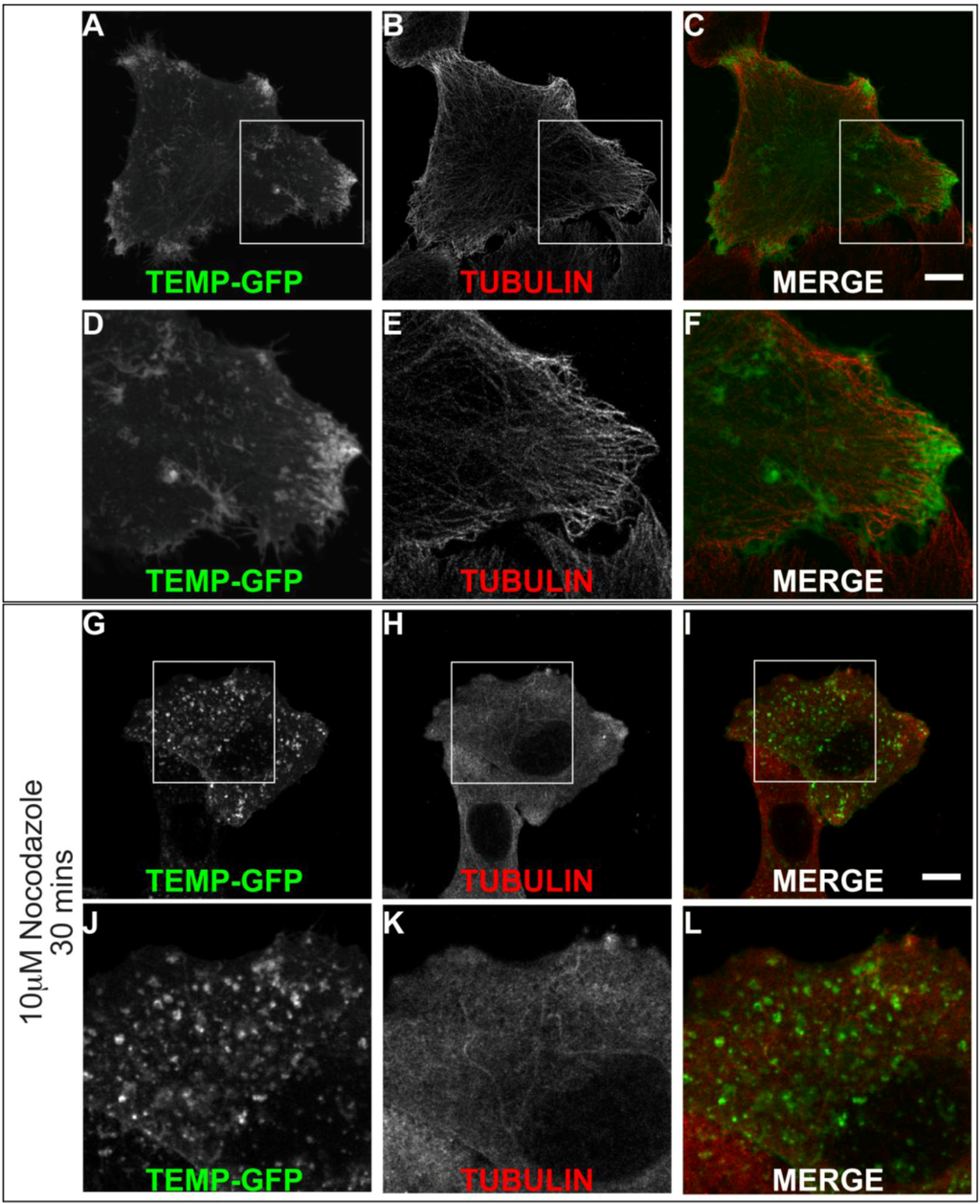 Cells 01 01029 g007 1024