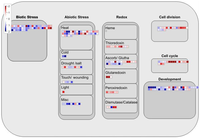Cells 01 01089 g005 200