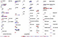 Cells 01 01089 g006 200