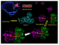 Cells 01 01133 g002 200