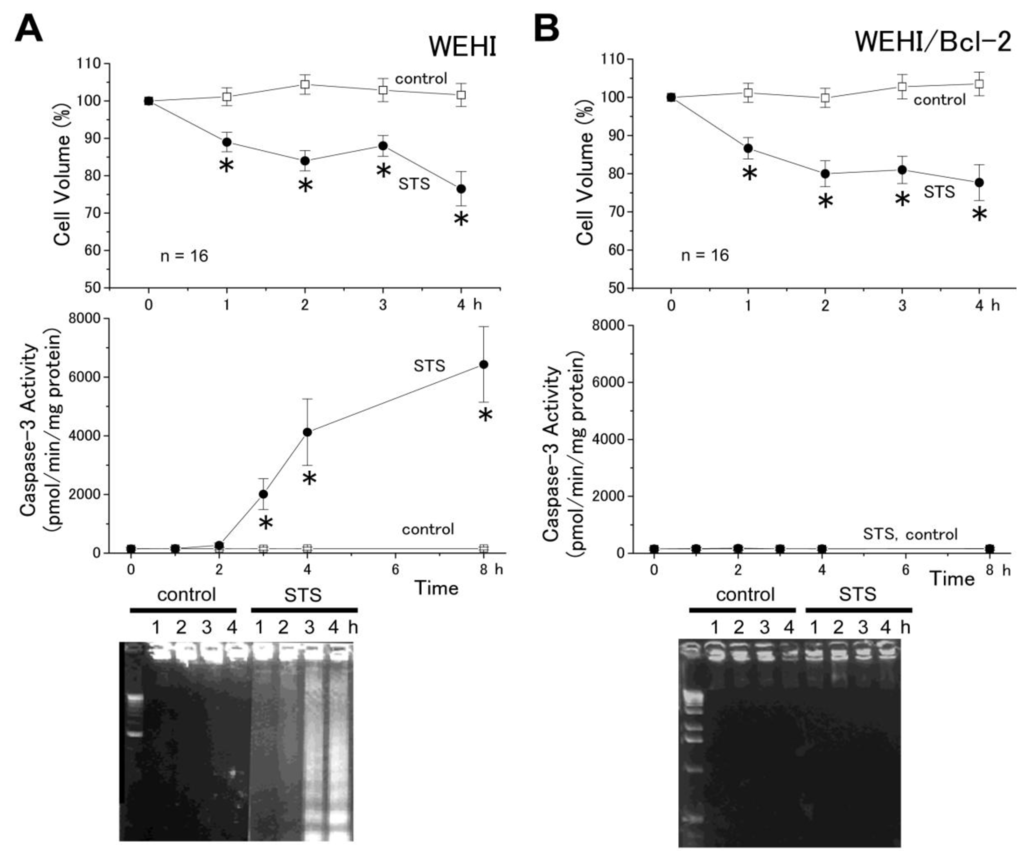 Cells 01 01156 g002 1024