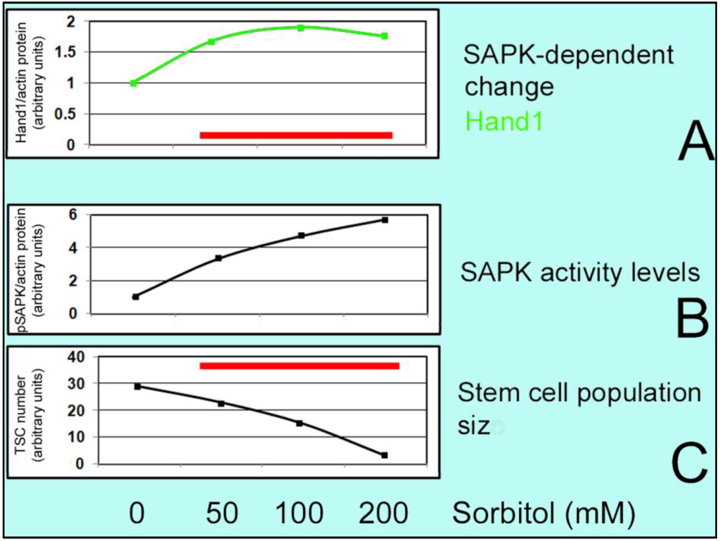 Cells 01 01197 g002 1024