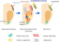 Cells 02 00067 g002 200