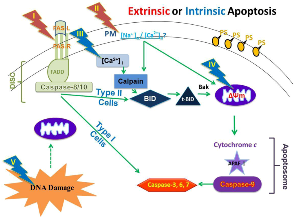 download membrane trafficking