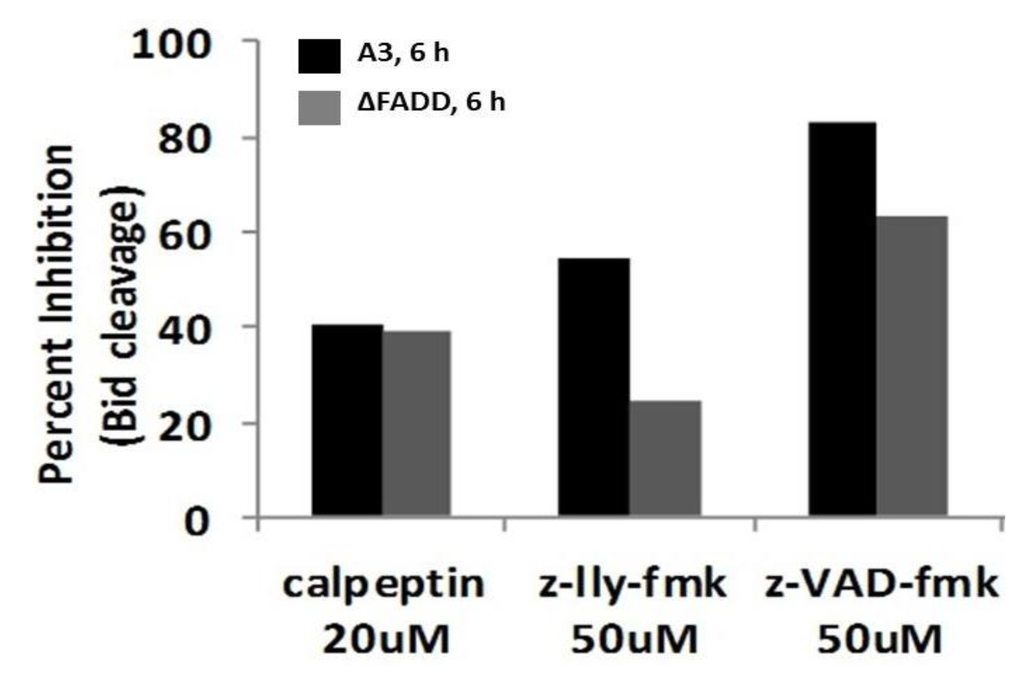 Cells 02 00136 g009 1024