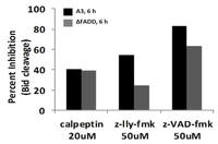 Cells 02 00136 g009 200