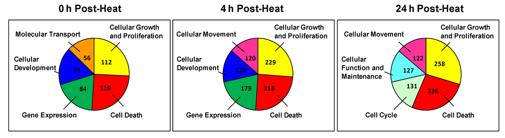Cells 02 00224 g004 1024
