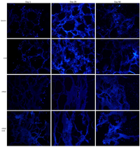 Cells 02 00244 g008 200