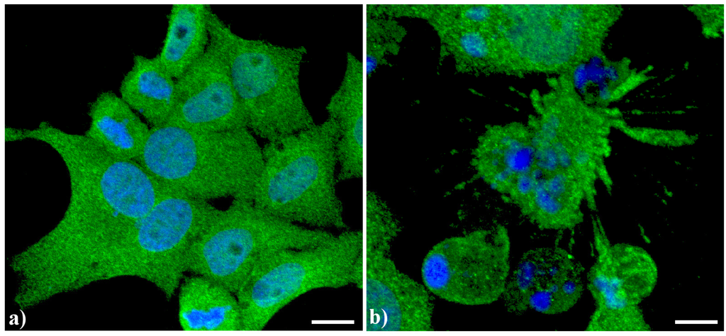 Cells 02 00294 g002 1024