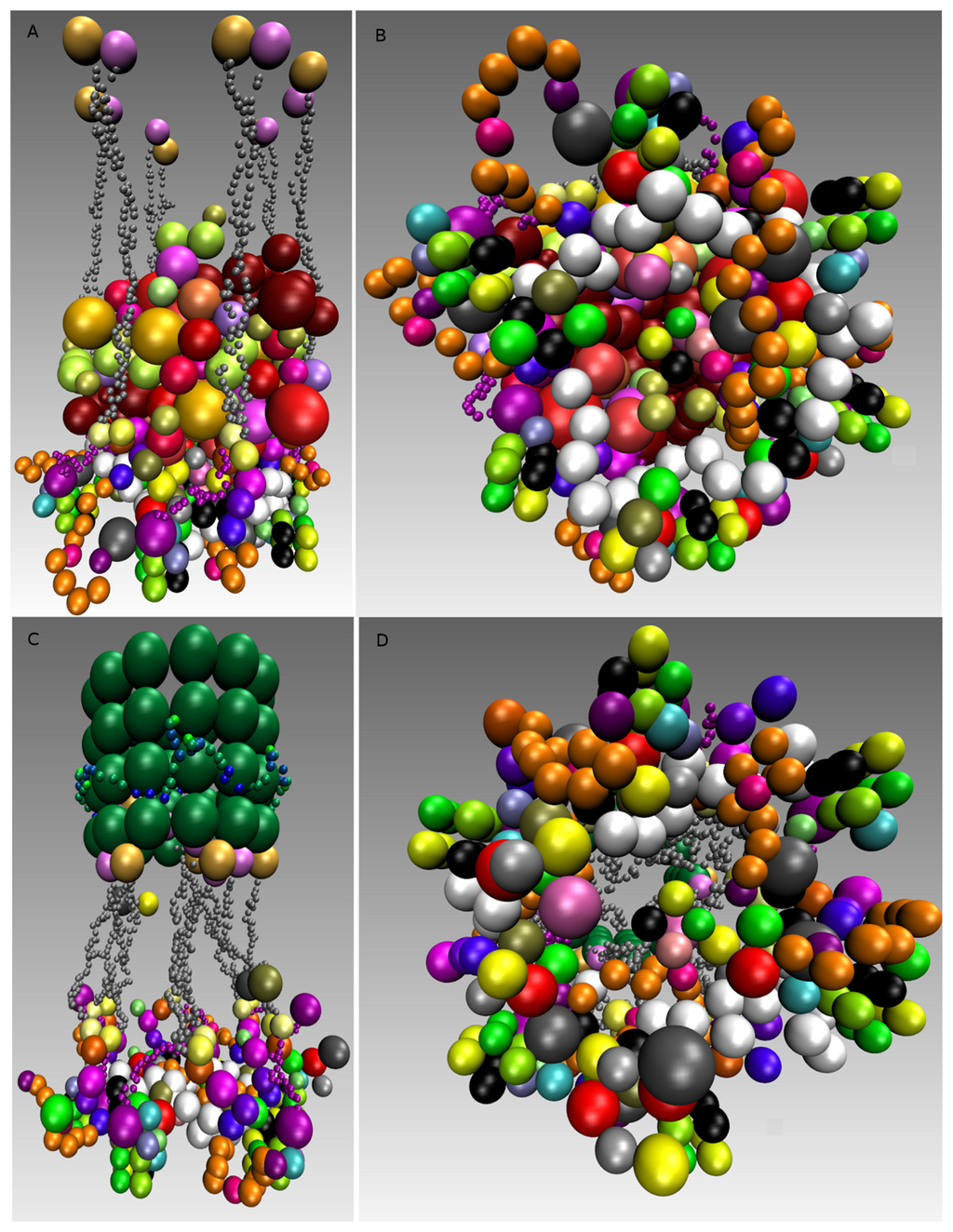 Cells 02 00506f9 1024