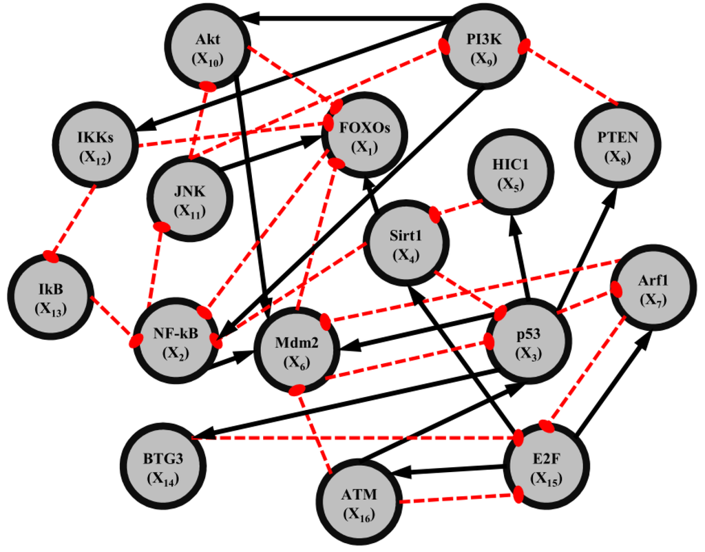 Biological Networks The Tinkerer As An Engineer Pdf