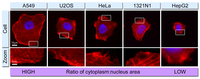 Cells 02 00715 g001 200