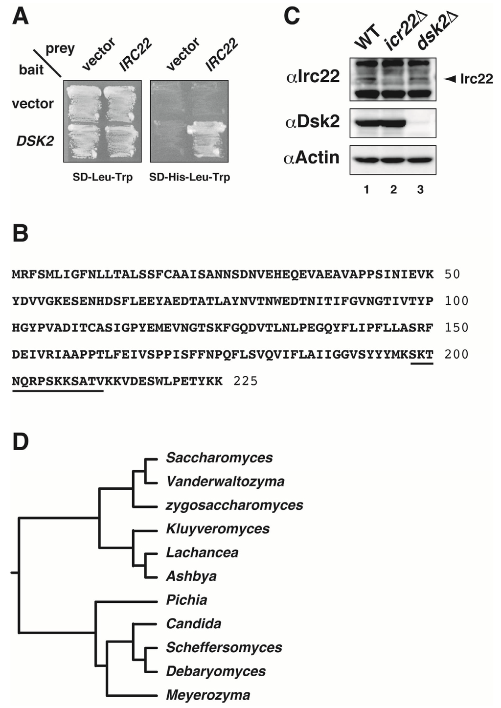 Cells 03 00180 g001 1024
