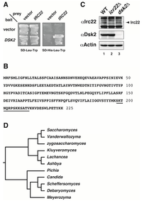 Cells 03 00180 g001 200