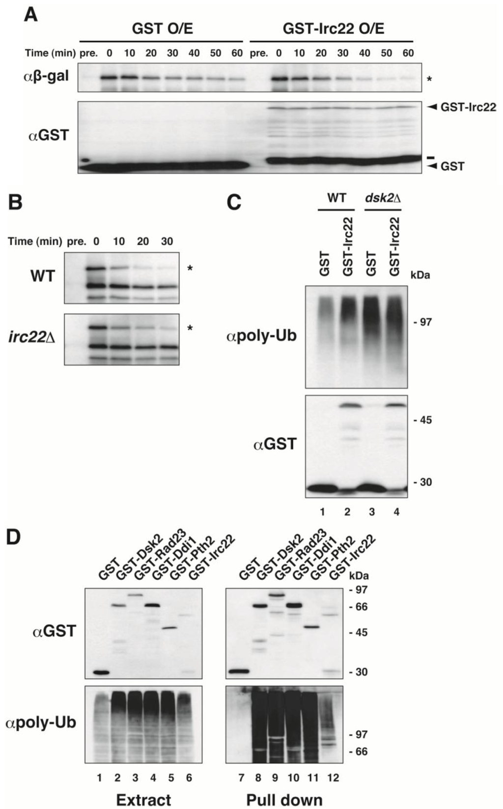Cells 03 00180 g003 1024