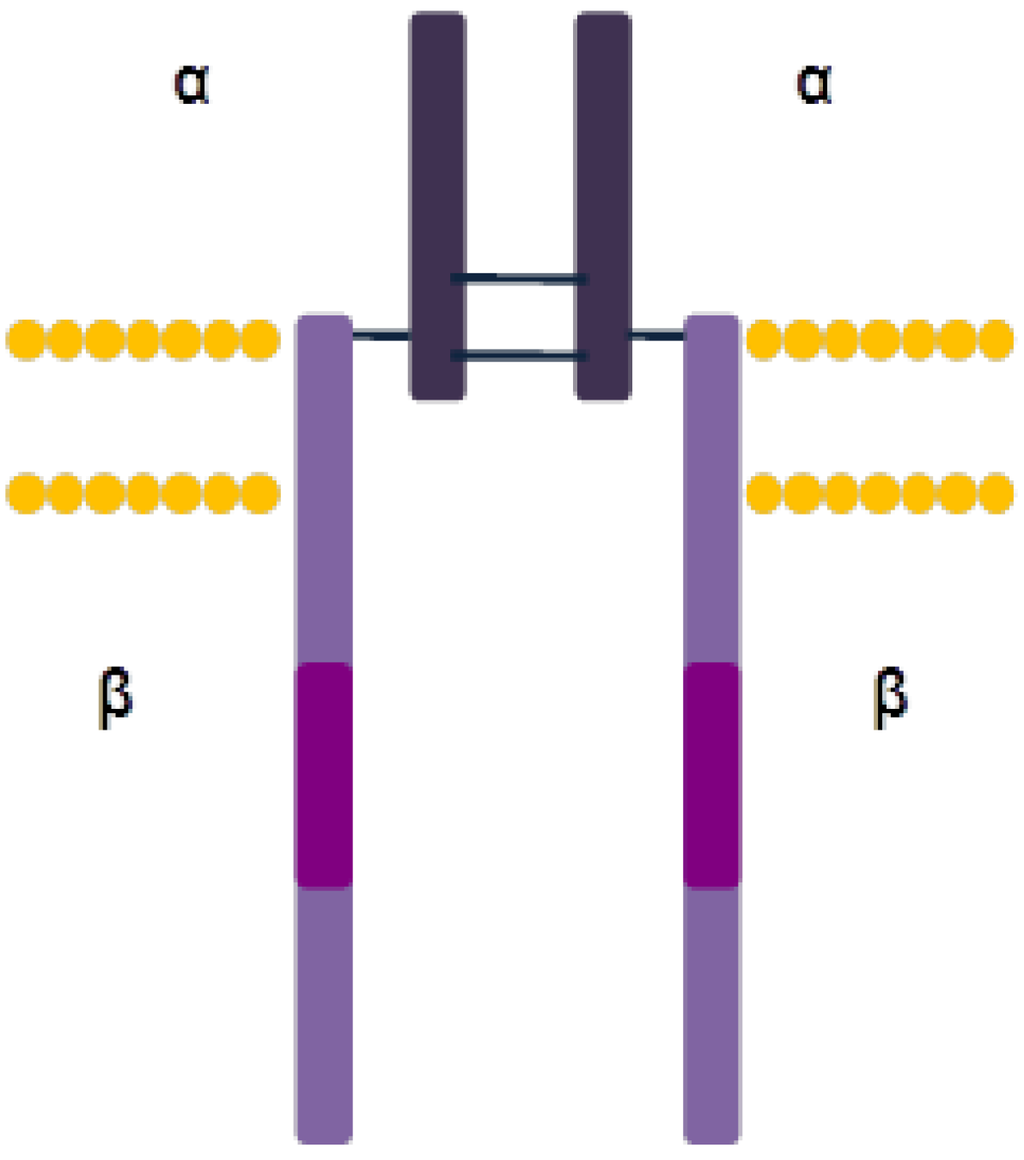 Cells 03 00199 g003 1024