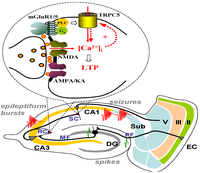 Cells 03 00288 g004 200
