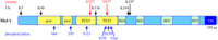 Cells 03 00418 g002 200