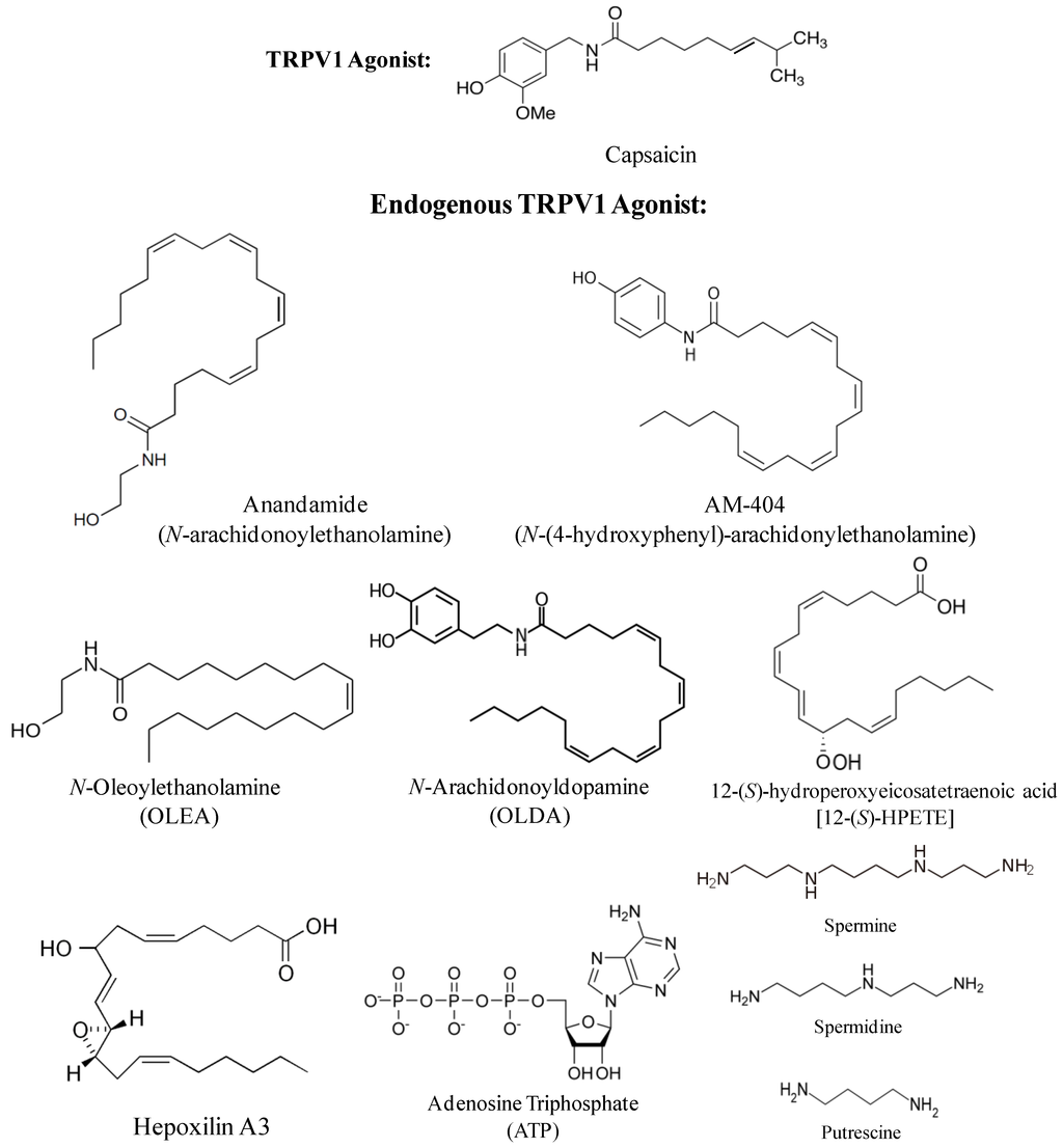 Cells 03 00517 g001 1024