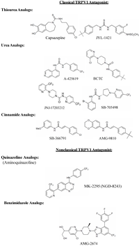 Cells 03 00517 g002 200