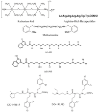 Cells 03 00517 g003 200