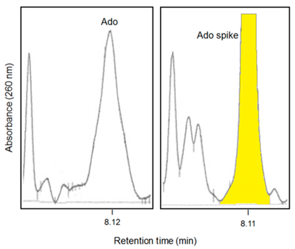 an analysis of plasma theory A short introduction to plasma physics k wiesemann a more careful analysis will reveal that,instead of is the ‘plasma parameter’, taken in plasma theory. an analysis of plasma theory A short introduction to plasma physics k wiesemann a more careful analysis will reveal that,instead of is the ‘plasma parameter’, taken in plasma theory.