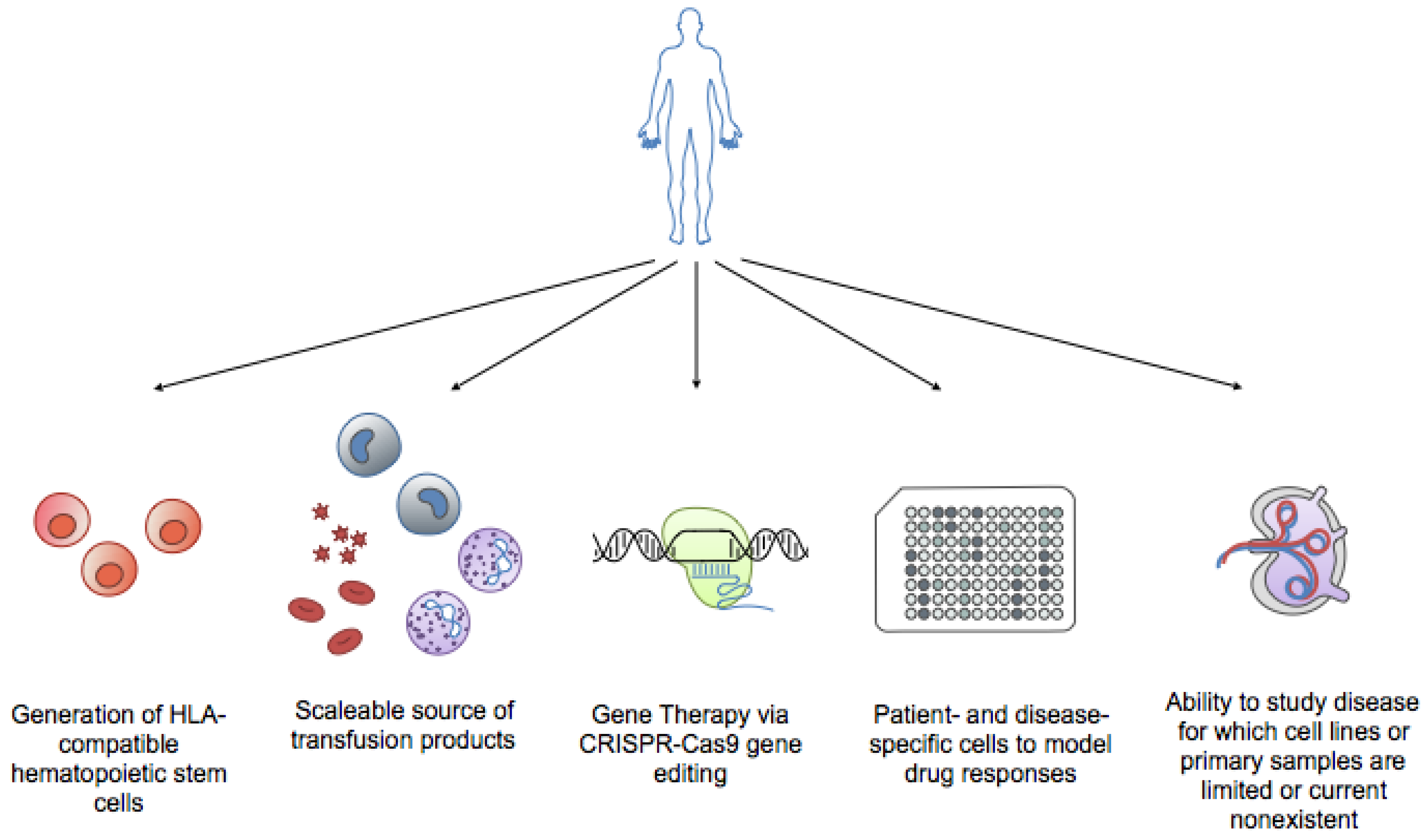 Cells 06 00007 g003