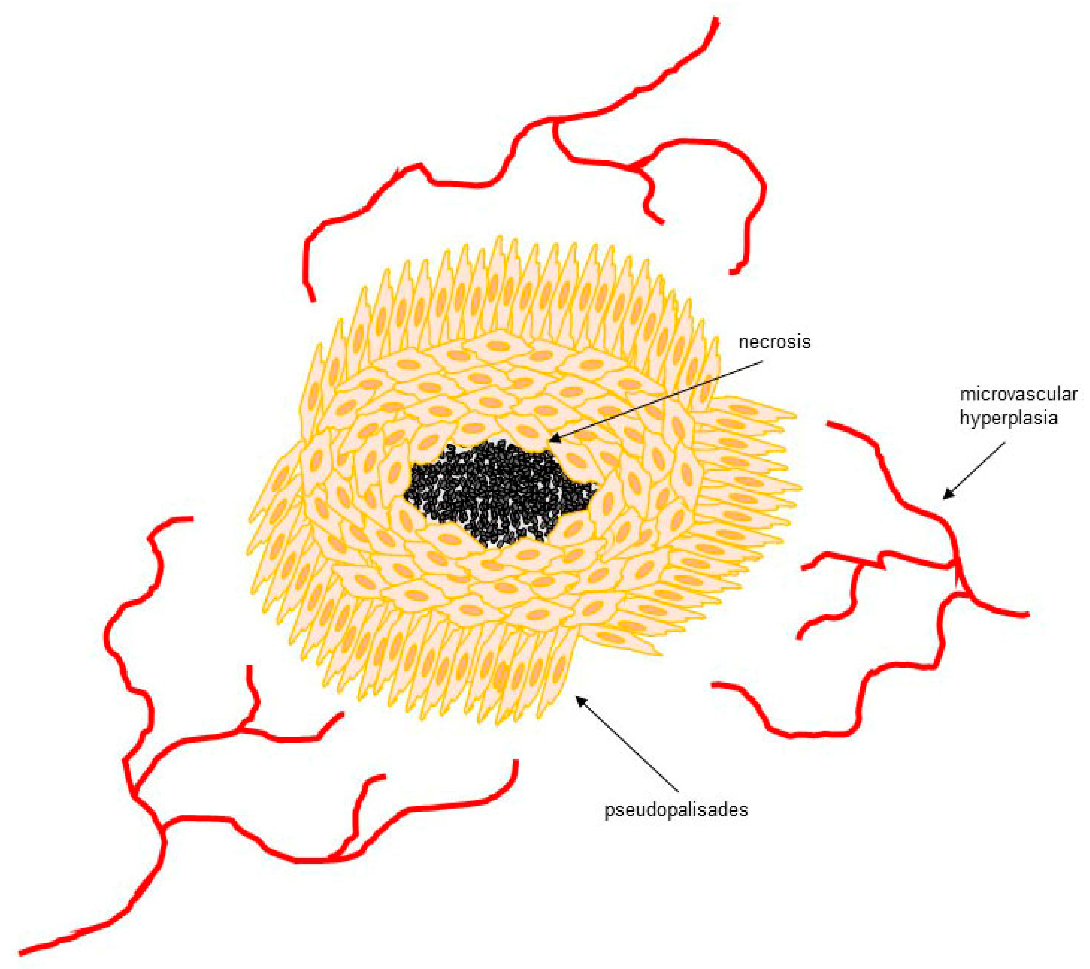 Cells 06 00045 g001