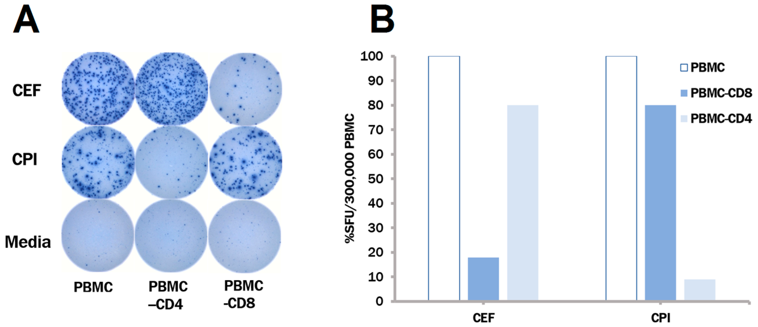 Cells 06 00047 g003